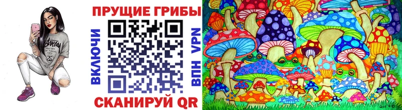 Галлюциногенные грибы Cubensis  Собинка 